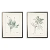 Greenery Botanicals I Framed Art Prints, Set Of 2-Kirkland's Home Online