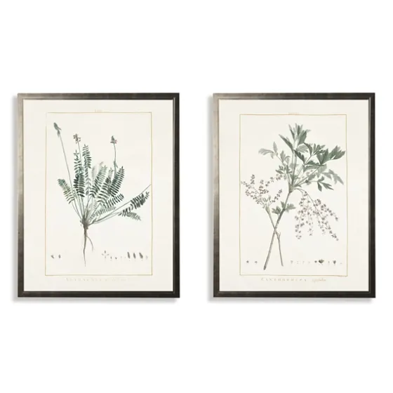 Greenery Botanicals I Framed Art Prints, Set Of 2-Kirkland's Home Online