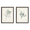 Greenery I Framed Art Prints, Set Of 2-Kirkland's Home Shop