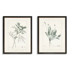 Greenery I Framed Art Prints, Set Of 2-Kirkland's Home Shop