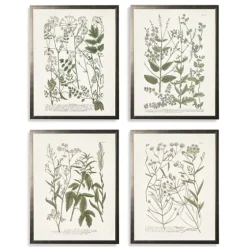 Greenery On Cream Back Framed Art Prints, Set Of 4-Kirkland's Home Cheap