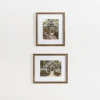 Greenhouse Garden Framed Art Prints, Set Of 2-Kirkland's Home Shop