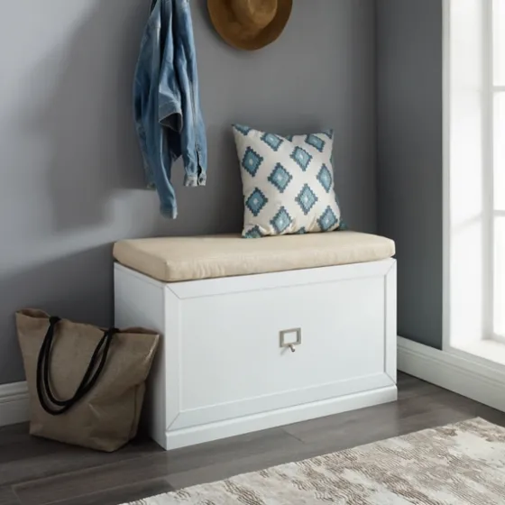 Halie Modern Upholstered Storage Bench-Kirkland's Home Cheap