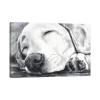 Happy Dreams Dog Giclee Canvas Art Print, 40X26-Kirkland's Home Best Sale
