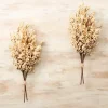 Harvest Berry Bundles, Set Of 2-Kirkland's Home Sale