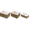Harvest Boxes With Metal Covers, Set Of 3-Kirkland's Home Clearance