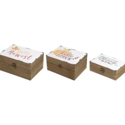 Harvest Boxes With Metal Covers, Set Of 3-Kirkland's Home Clearance
