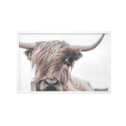 Highland Cow Framed Art Print-Kirkland's Home Shop