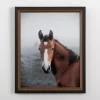 Highland Horse Framed Art Print-Kirkland's Home Cheap