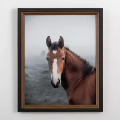 Highland Horse Framed Art Print-Kirkland's Home Cheap