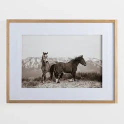 Horse Friends Framed Art Print-Kirkland's Home Flash Sale