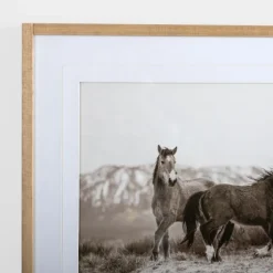 Horse Friends Framed Art Print-Kirkland's Home Flash Sale