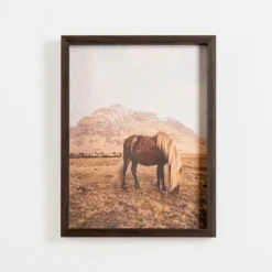 Horse On Range Framed Art Print-Kirkland's Home Clearance