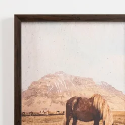 Horse On Range Framed Art Print-Kirkland's Home Clearance