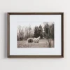 Horse Photography Framed Art Print-Kirkland's Home Best Sale