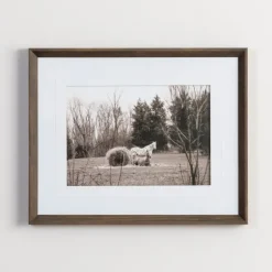 Horse Photography Framed Art Print-Kirkland's Home Best Sale