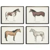 Horses Framed Art Prints, Set Of 4-Kirkland's Home Flash Sale