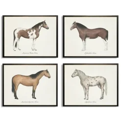 Horses Framed Art Prints, Set Of 4-Kirkland's Home Flash Sale