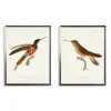 Hummingbirds I Framed Art Prints, Set Of 2-Kirkland's Home Online