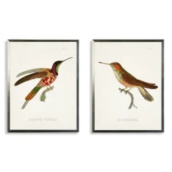 Hummingbirds I Framed Art Prints, Set Of 2-Kirkland's Home Online