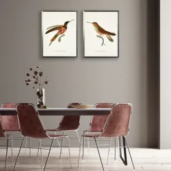 Hummingbirds I Framed Art Prints, Set Of 2-Kirkland's Home Online