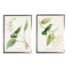 Hummingbirds On Flowers 2-Pc. Framed Art Print Set-Kirkland's Home Flash Sale