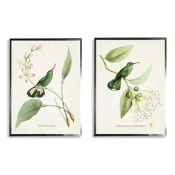 Hummingbirds On Flowers 2-Pc. Framed Art Print Set-Kirkland's Home Flash Sale