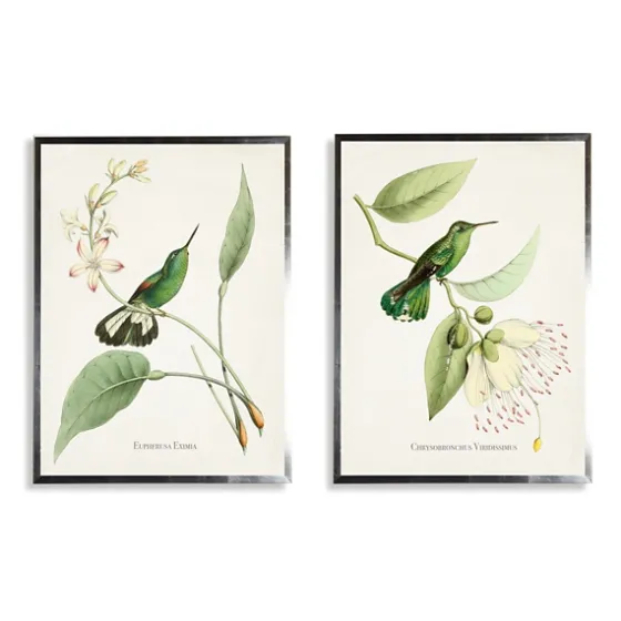 Hummingbirds On Flowers 2-Pc. Framed Art Print Set-Kirkland's Home Flash Sale