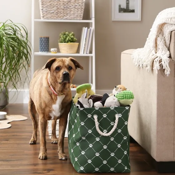 Hunter Paw Trellis Rectangle Basket, 17.5 In.-Kirkland's Home Flash Sale