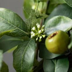 Israeli Ruscus Pods Wreath-Kirkland's Home Best Sale