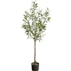Italian Olive Tree In Black Nursery Planter, 5 Ft.-Kirkland's Home Cheap