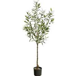 Italian Olive Tree In Black Nursery Planter, 5 Ft.-Kirkland's Home Cheap