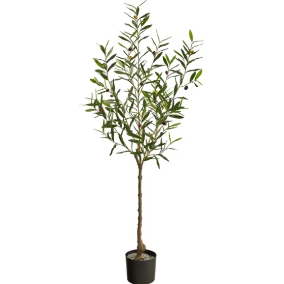 Italian Olive Tree In Black Nursery Planter, 5 Ft.-Kirkland's Home Cheap