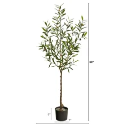 Italian Olive Tree In Black Nursery Planter, 5 Ft.-Kirkland's Home Cheap