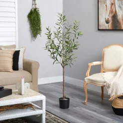 Italian Olive Tree In Black Nursery Planter, 5 Ft.-Kirkland's Home Cheap