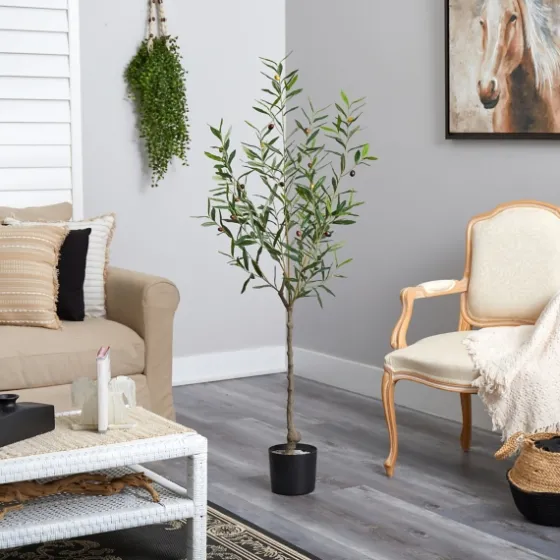 Italian Olive Tree In Black Nursery Planter, 5 Ft.-Kirkland's Home Cheap