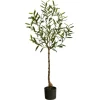 Italian Olive Tree In Black Nursery Planter, 4 Ft.-Kirkland's Home Fashion