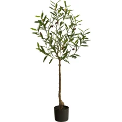 Italian Olive Tree In Black Nursery Planter, 4 Ft.-Kirkland's Home Fashion