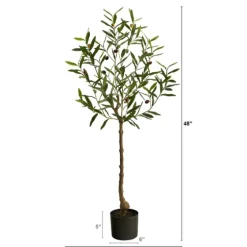 Italian Olive Tree In Black Nursery Planter, 4 Ft.-Kirkland's Home Fashion