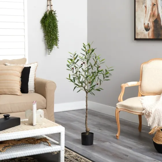 Italian Olive Tree In Black Nursery Planter, 4 Ft.-Kirkland's Home Fashion