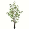 Japanese Bamboo Tree In Black Planter, 6 Ft.-Kirkland's Home Cheap