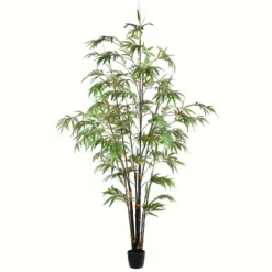 Japanese Bamboo Tree In Black Planter, 6 Ft.-Kirkland's Home Cheap