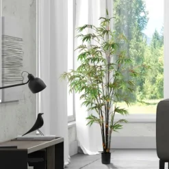 Japanese Bamboo Tree In Black Planter, 6 Ft.-Kirkland's Home Cheap