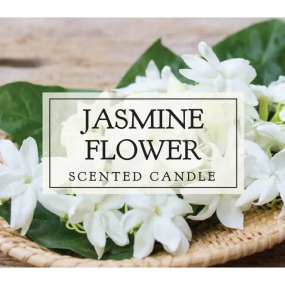 Jasmine Flower Votive Candles, Set Of 8-Kirkland's Home Hot