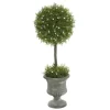 Juniper Ball Tree In Pedestal Urn-Kirkland's Home Online