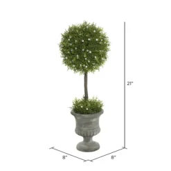 Juniper Ball Tree In Pedestal Urn-Kirkland's Home Online