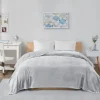 King Oversize Plush Blanket-Kirkland's Home Store