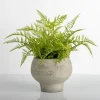 Lace Fern Plant In Face Planter-Kirkland's Home Shop