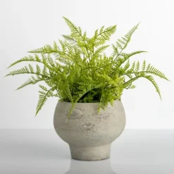 Lace Fern Plant In Face Planter-Kirkland's Home Shop