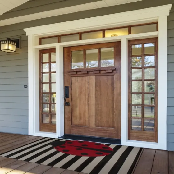 Ladybug Shaped Doormat-Kirkland's Home Cheap